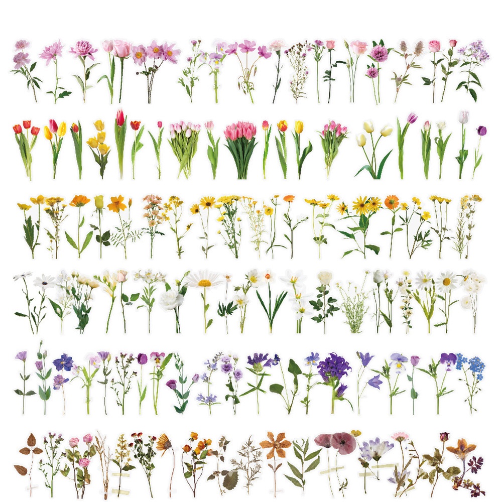 40Pcs/pack Plants Flower PET Journal Sticker Label Decoration DIY Diary ...