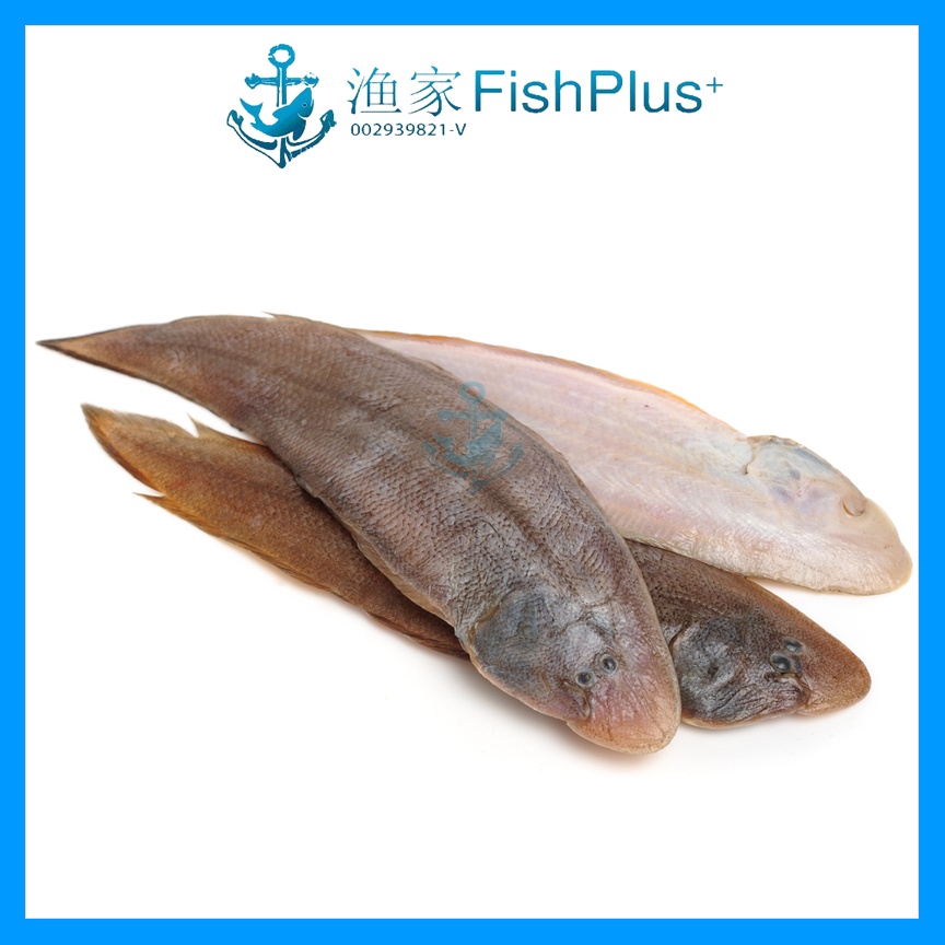 Tongue Fish (Sekinchan) 1kg 龙舌鱼 (適耕莊) - FishPlus Seafood | Shopee Malaysia