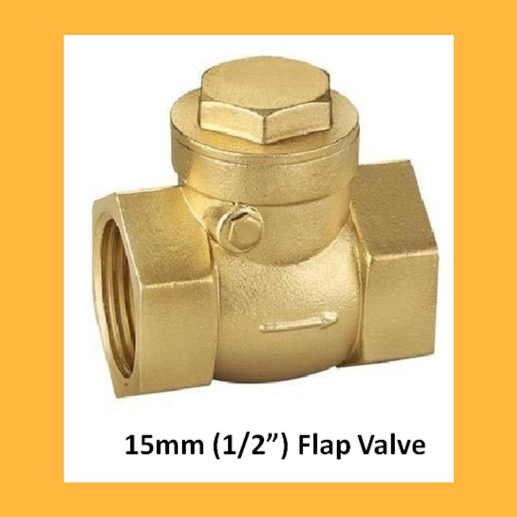 Valve Heavy Brass Non Return Valve Vertical Check Spring One-way Check ...