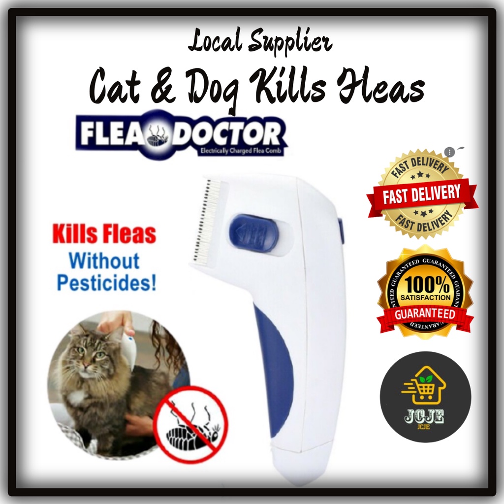 💥Flea Doctor Electronic Comb for Pet Dogs&Cats Kills&Stuns Fleas Seen On TV💥 Shopee Malaysia