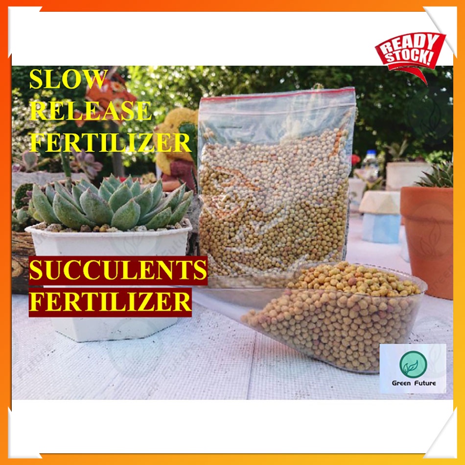 SUCCULENT SLOW RELEASE FERTILIZER OSMOCOTE NPK 14-14-14 GRANULAR ...