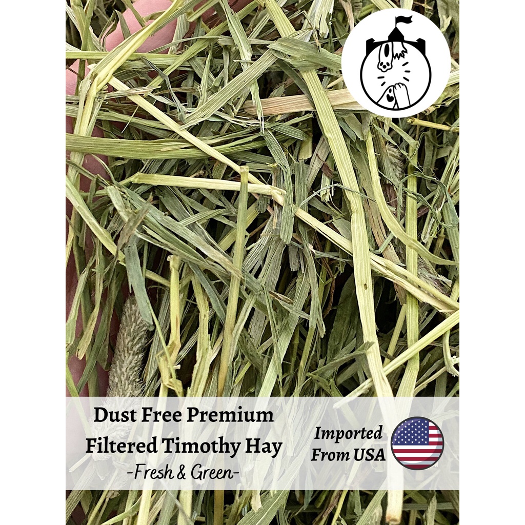 Usa Imported Dust Free Premium Filtered Timothy Alfalfa Hay Rabbit Photo Inspiration