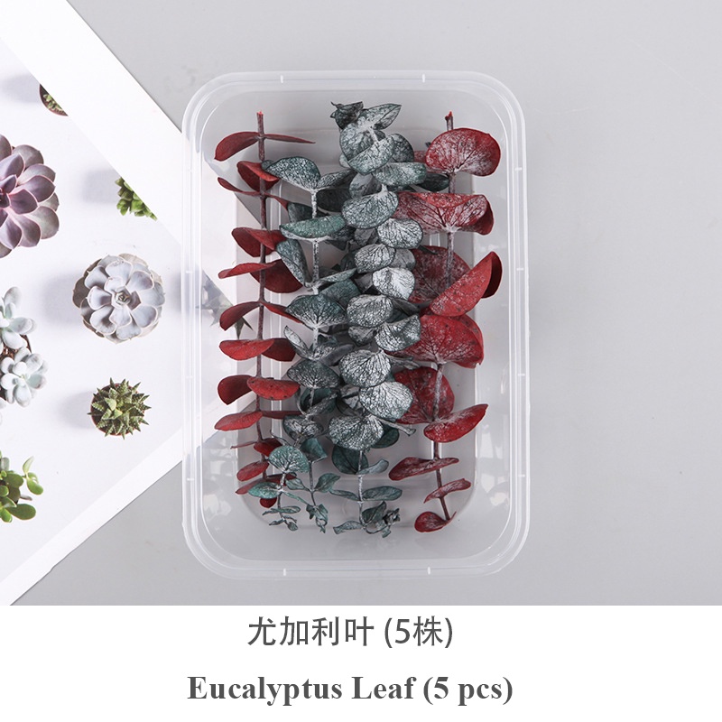 Dried Fruit Dried Flower Box Natural Flower Pinecone Rose Buds Sapium ...