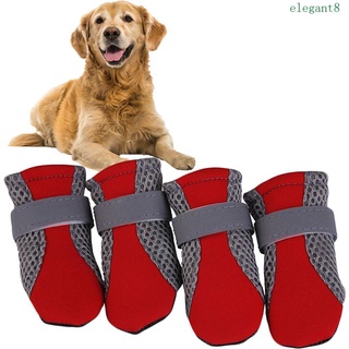 Dog 2025 shoes shopee