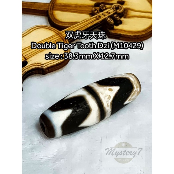 ✴️ Ready Stock ✴️ 双虎牙天珠Double Tiger Tooth Dzi (M10429