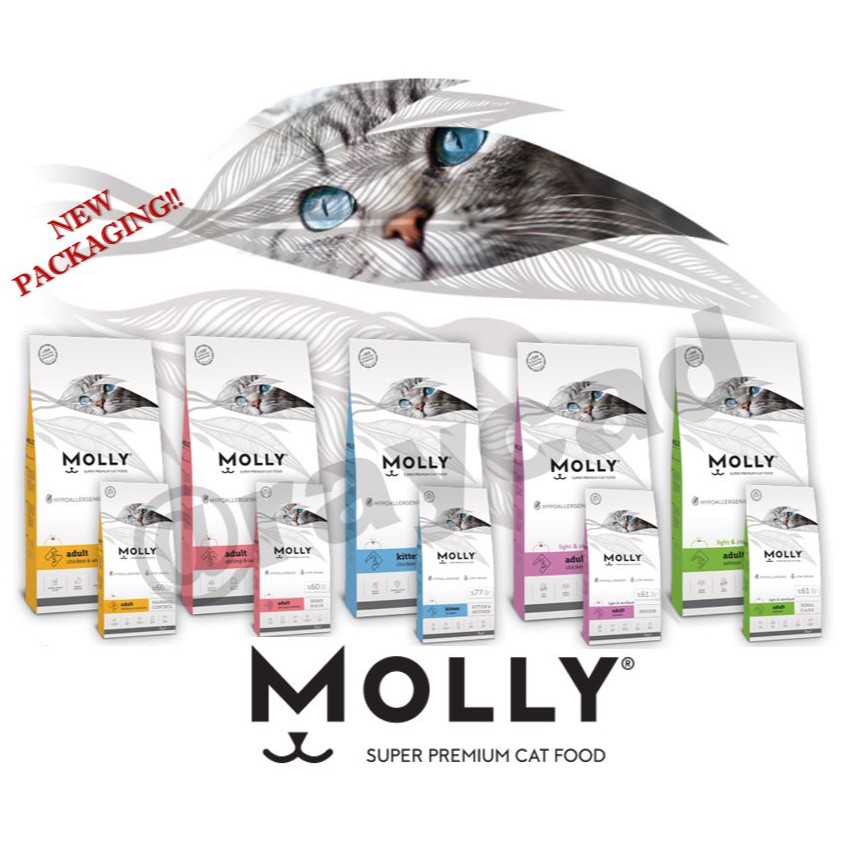 Molly kitten outlet food