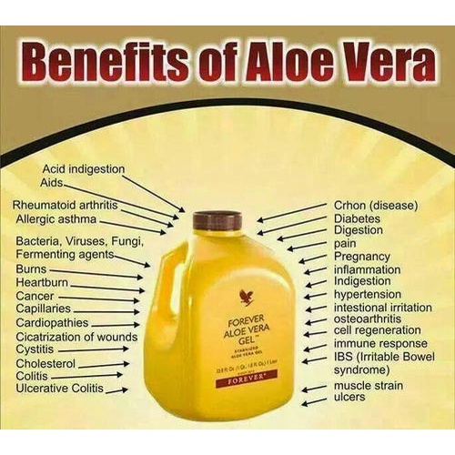 Forever aloe vera benefits hotsell