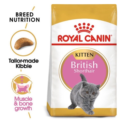 British shorthair kitten food hotsell