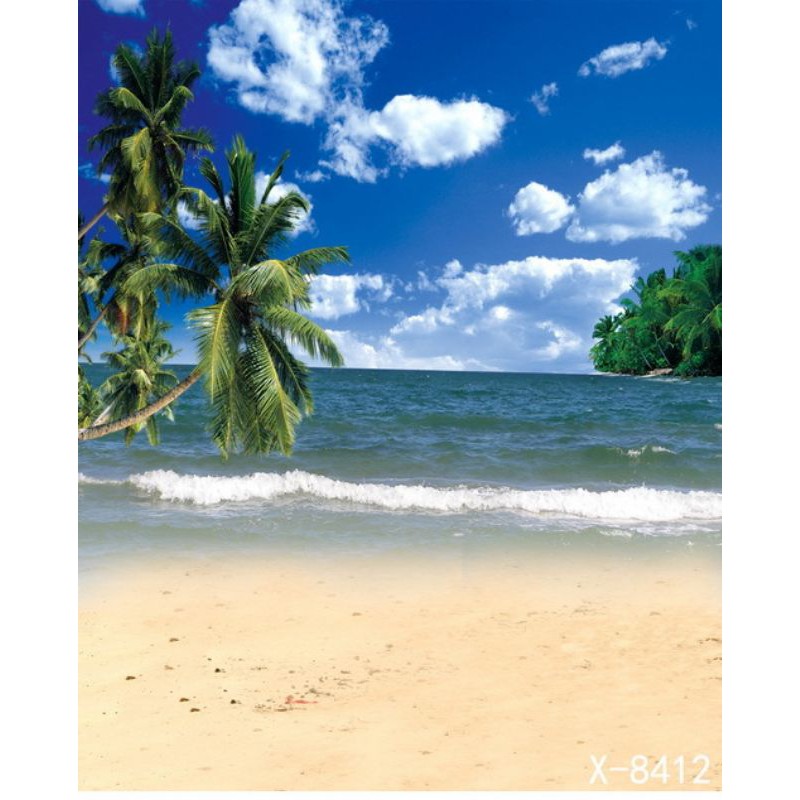 1.5m*2m Ins photography beaches backgrounds for wedding family photos ...