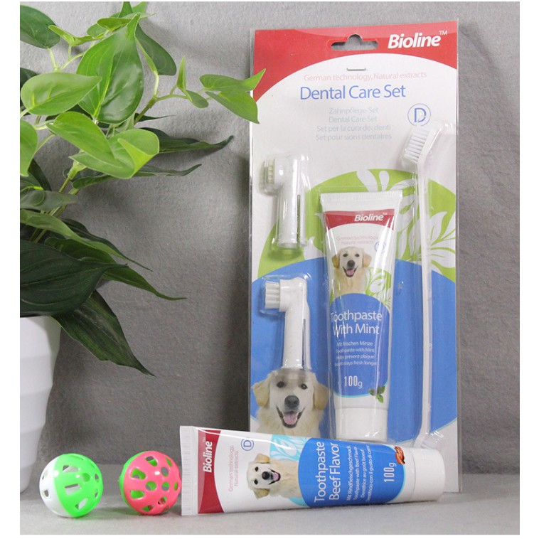 YOI Bioline Dental Care Set Mint Flavour Toothpaste 100g for Dog
