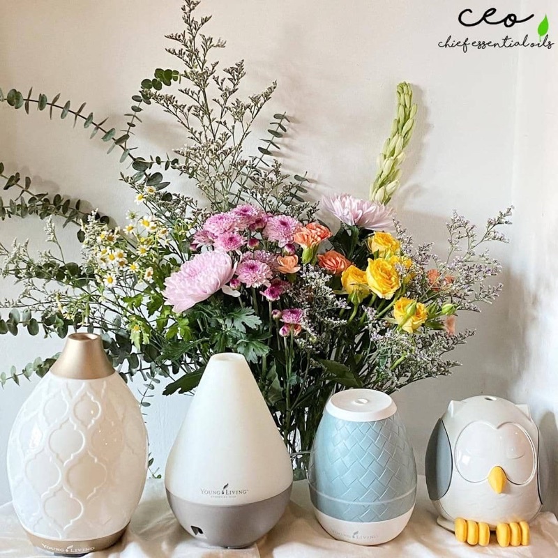 PREMEX PSK premium experience kit young living owl diffuser dessert