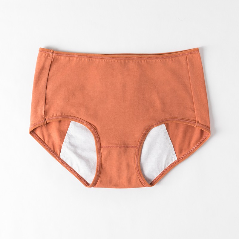 FallSweet Plus Size Period Panties Underwear Women High Waist Leak Proof  Menstrual Panties 6XL