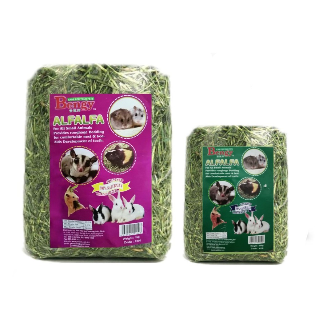 Gallery Detail: Bengy Alfalfa Hay For Rabbit Guinea Pig Chinchilla Hamster Gerbil