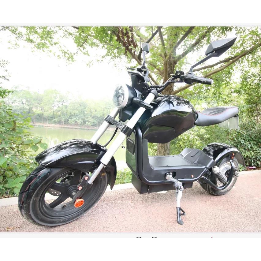 Eeccoc Approved 1500w Powerful M3 Motorcycle Electric Citycoco Scooters Adult Eu Stock 60v 20ah 7135