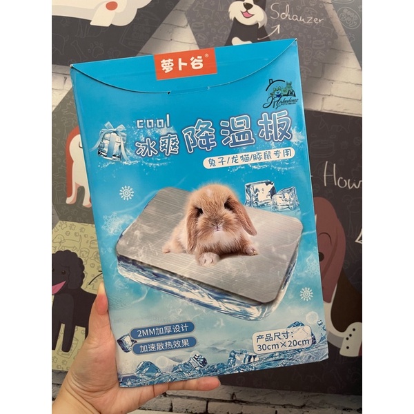 Rabbit/Totoro/Guinea Pig Cooling Mat/Cooling Bed (20cm x 30cm) Shopee