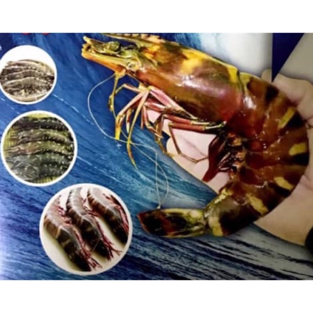 Tiger Prawn Deep Sea | Shopee Malaysia