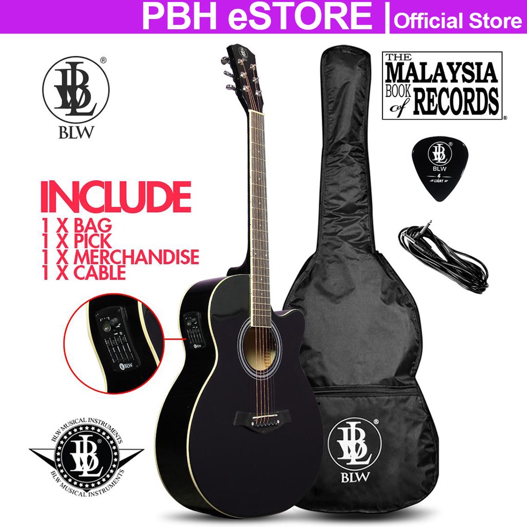 Blw guitar deals company