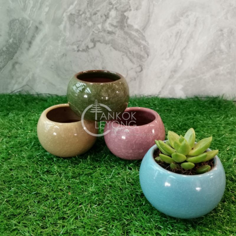 TKL - Colorful Ceramic Mini Flower Pot 色彩小花盆 | Shopee Malaysia