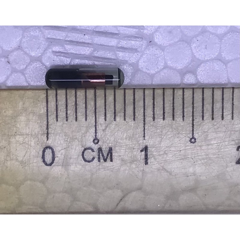 🔥Ready Stock🔥Arowana / Pet injection mirco chip (8mm x 2mm) | Shopee ...