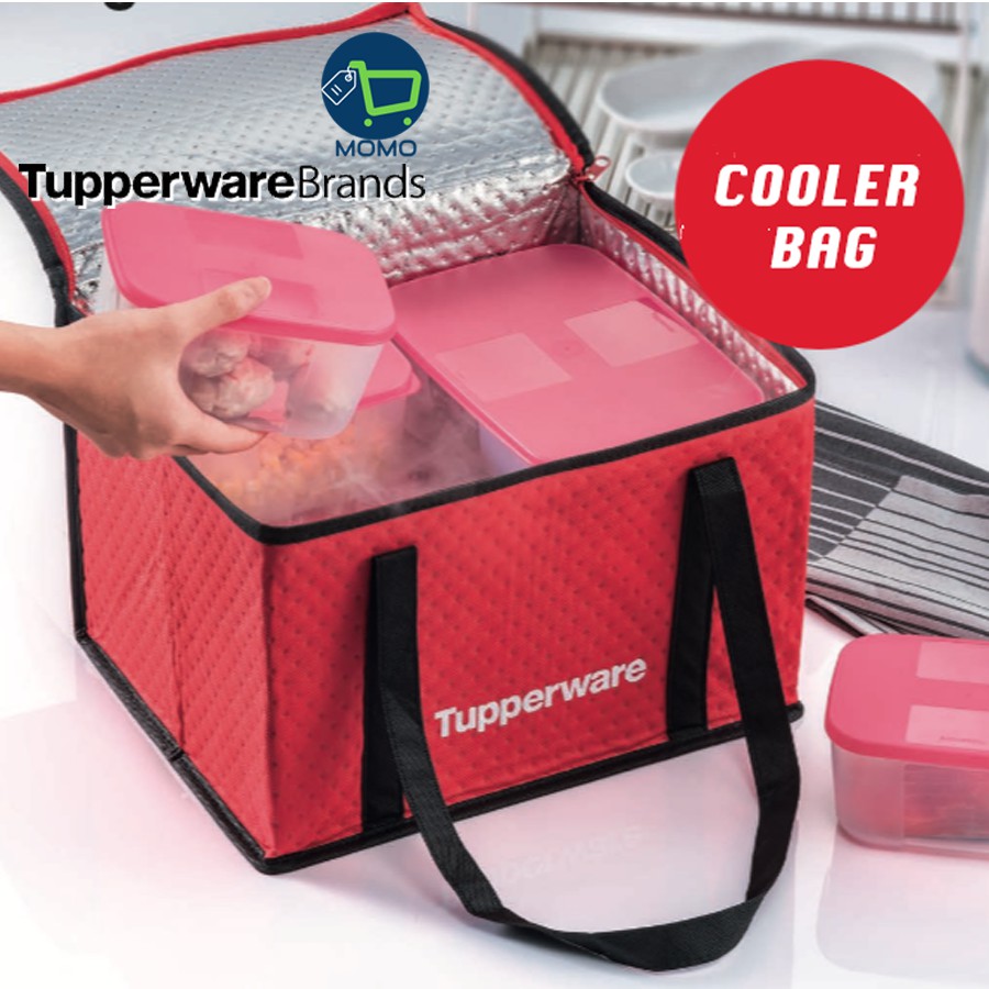 Tupperware insulated hot sale bag