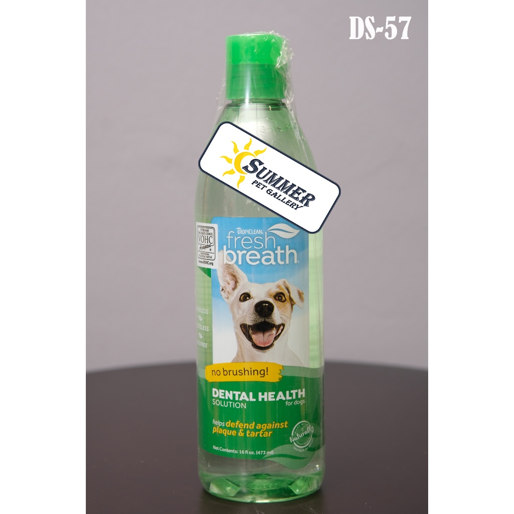 Fresh breath oral care water outlet additive