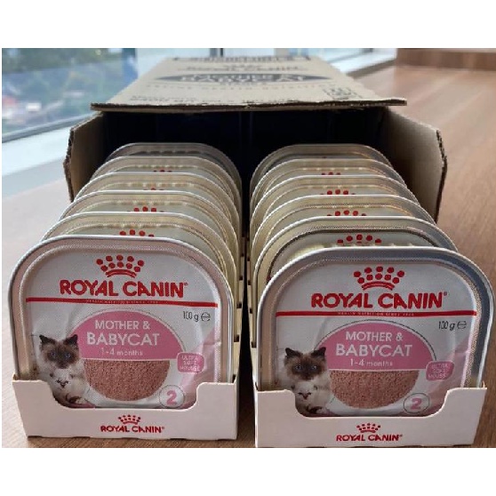 Royal CANIN MOTHER BABY CAT TRAY 100G ULTRA MOUSSE WET CAT FOOD Shopee Malaysia