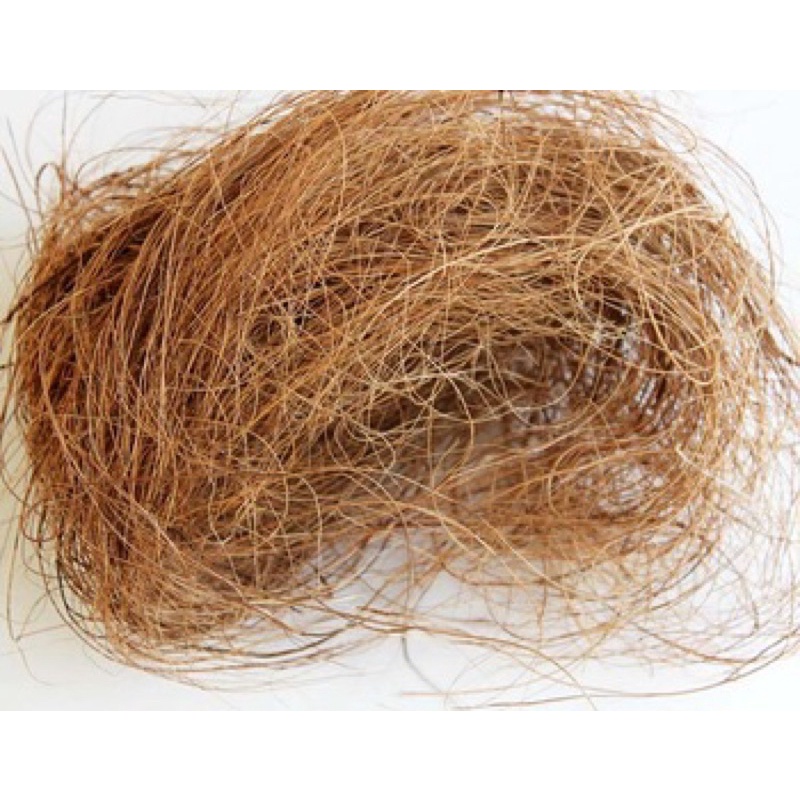 Coconut Fiber | Sabut Kelapa 500g (Organik) | Shopee Malaysia