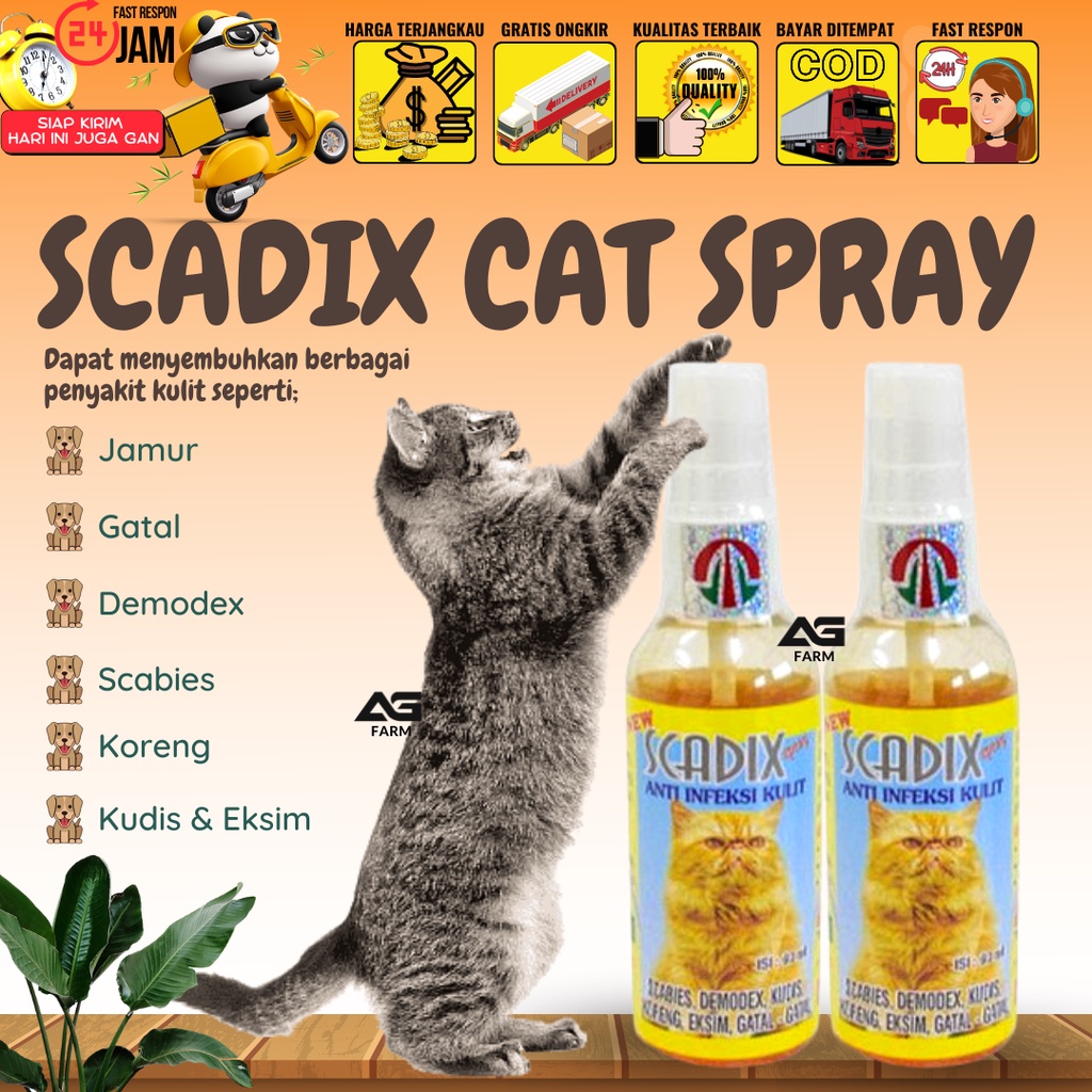 Scadix SPRAY CAT Anti Infection Medicine For CAT Skin Scabies Demodex