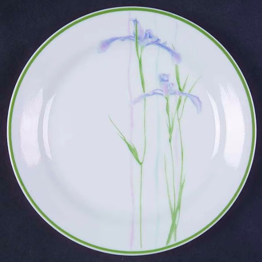 Corelle iris pattern sales