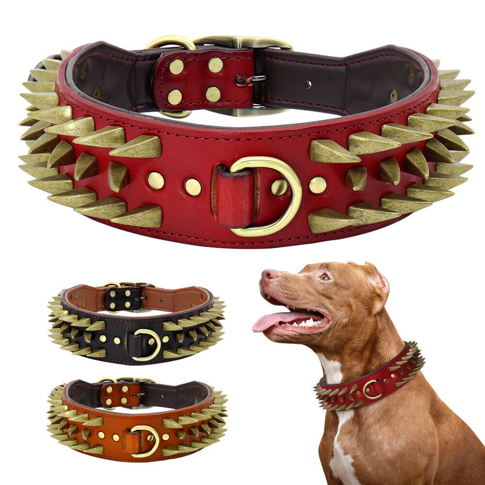 Heavy duty leather dog clearance collars