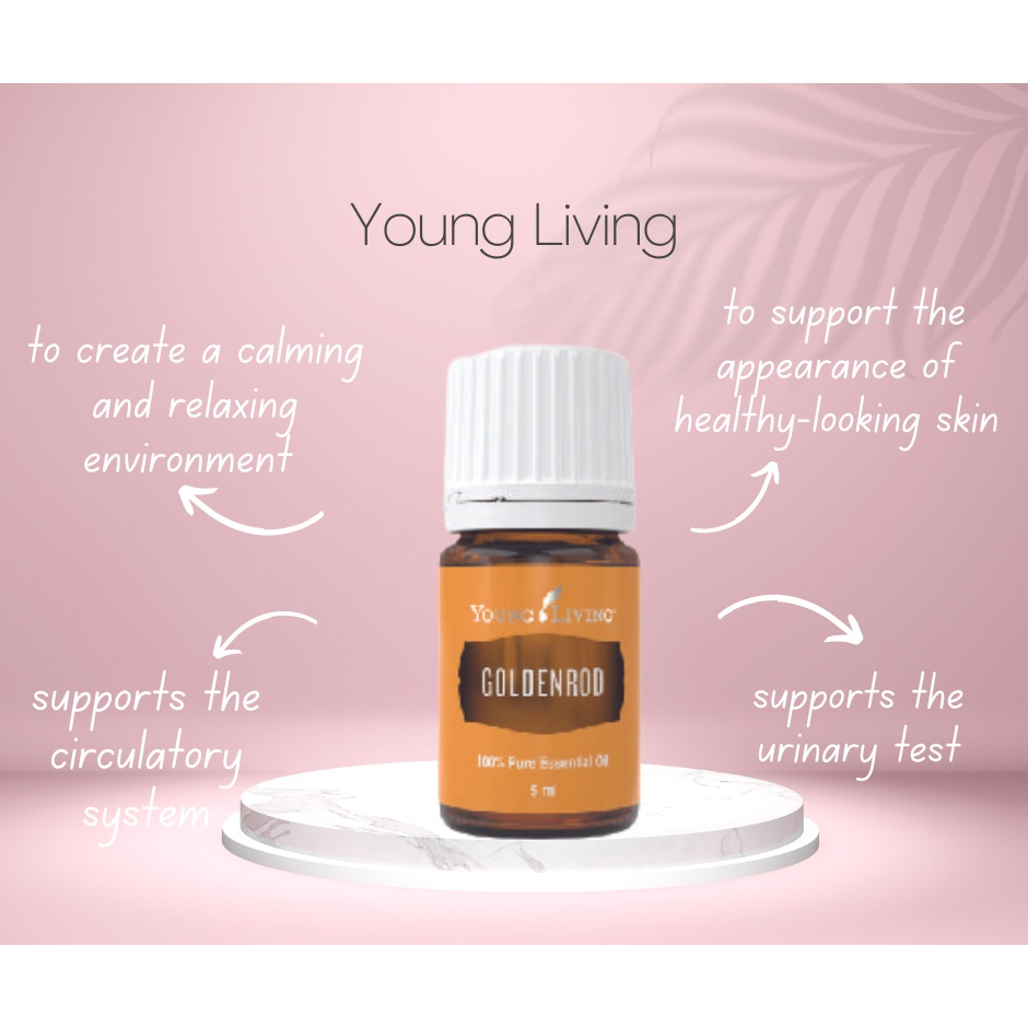 Young Living YL Goldenrod Essential Oil 5ml Oil Level 50 70 Shopee Malaysia