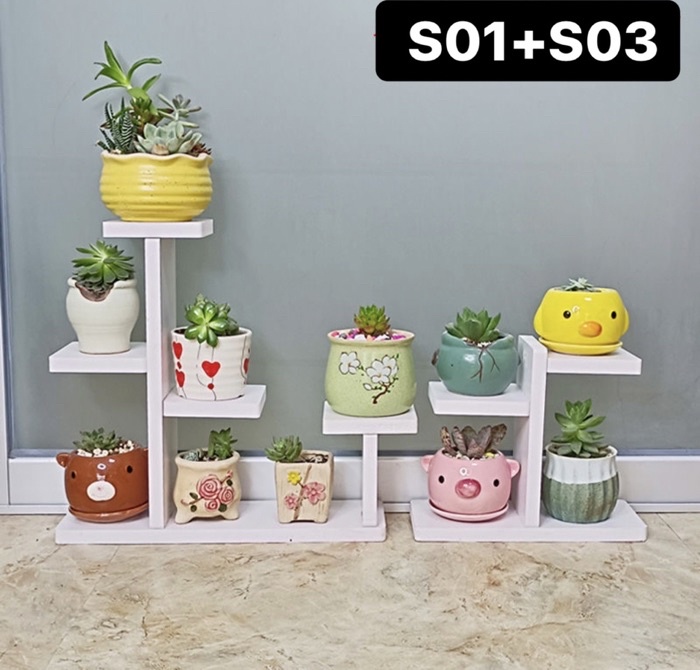 Waterproof Succulent Plant Rack Castus Pot Rak Bunga Berkingkag Rak ...