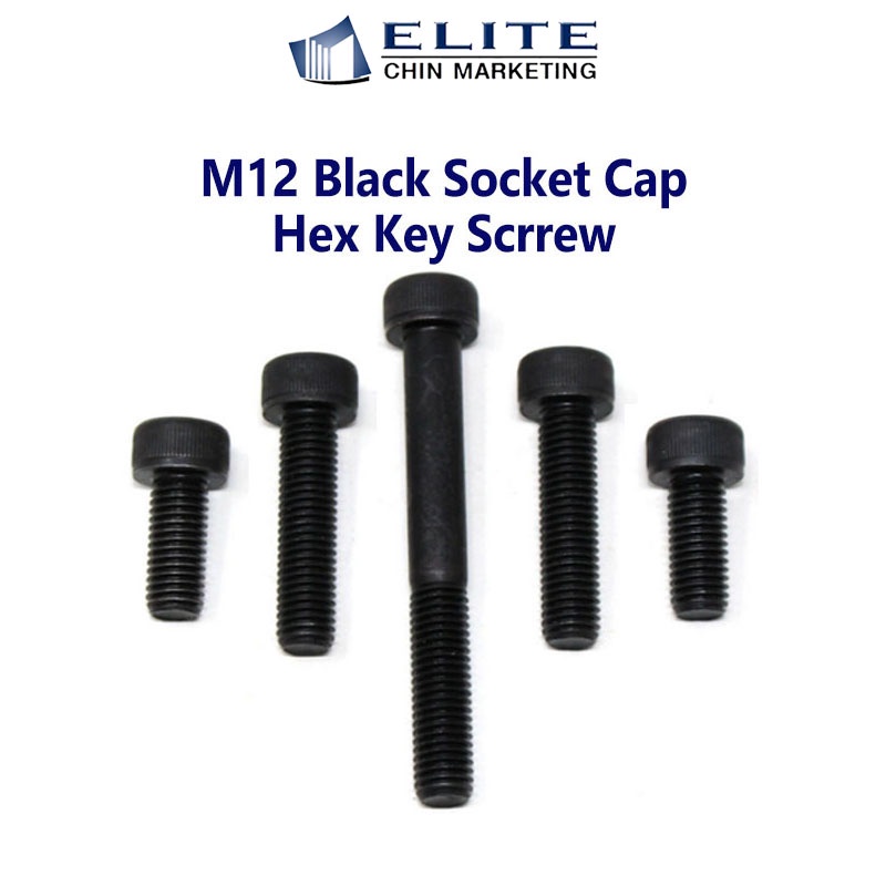 M12 Black Socket Cap Hex Key Screw/M12 Screw HEAD ALLEN KEY SCREWS
