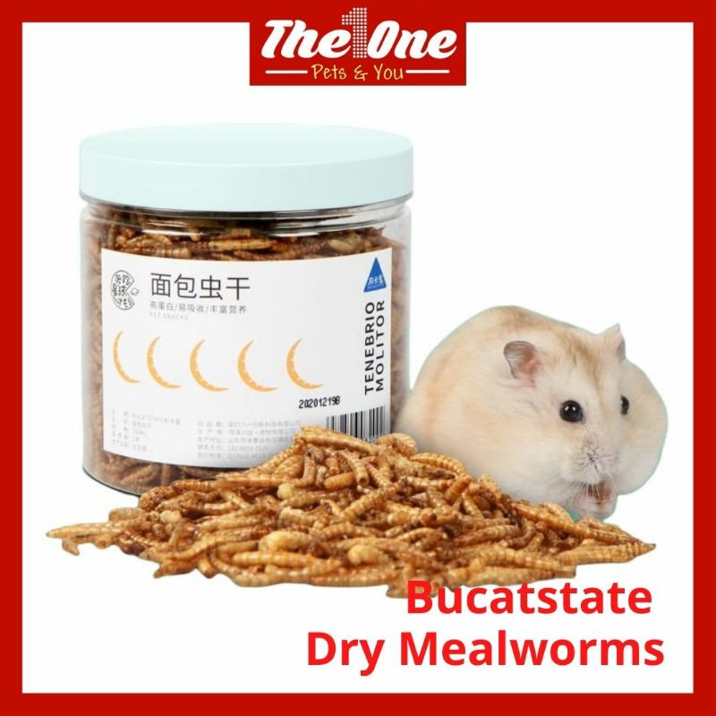Bucatstate Hamster Dried Mealworm Hamster Protein Reptile Worm
