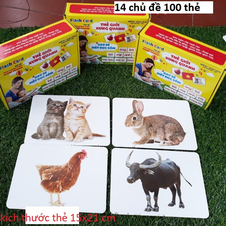 Glenn Doman Smart Learning Card Set for Big Size Children - Teaching ...