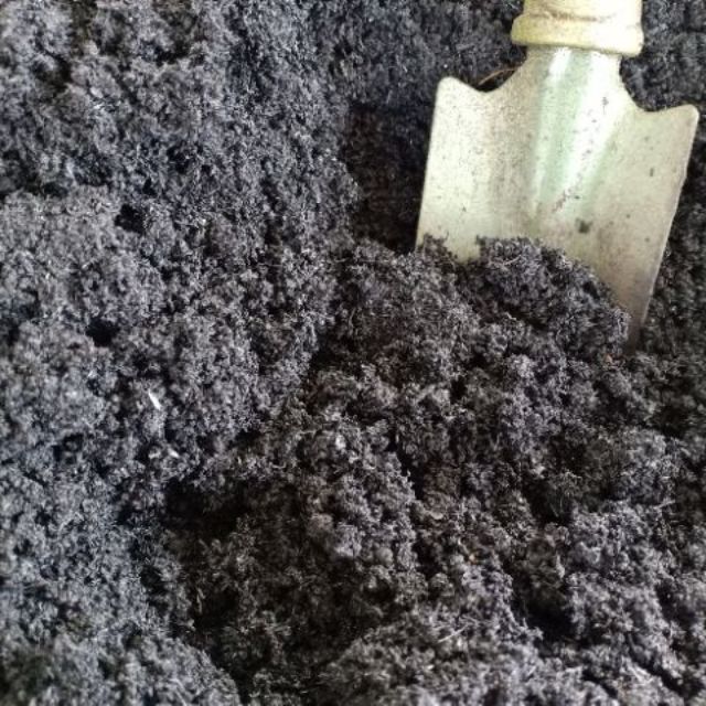 Biochar - mixture of fine and coarse grain - 1Kg | Shopee Malaysia