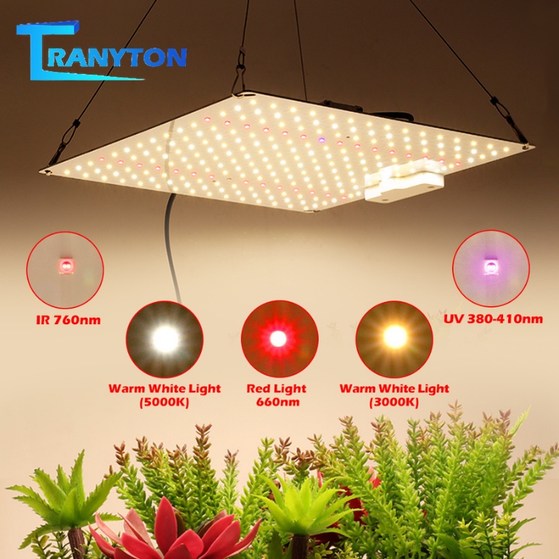 LED Grow Light LM281B Quantum UV&IR Chip 650W Full Spectrum Phyto Lamp ...