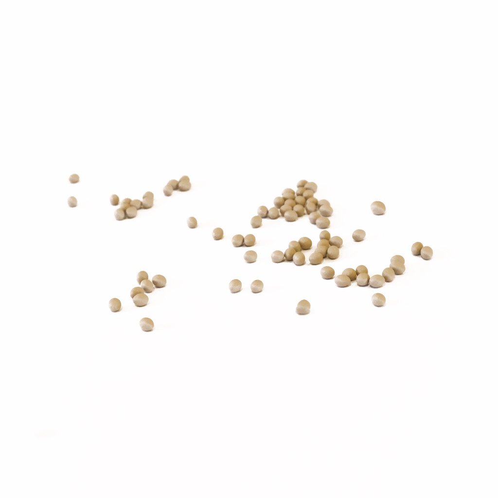 Red Multileaf Butterhead Seeds (50 pills) Shopee Malaysia