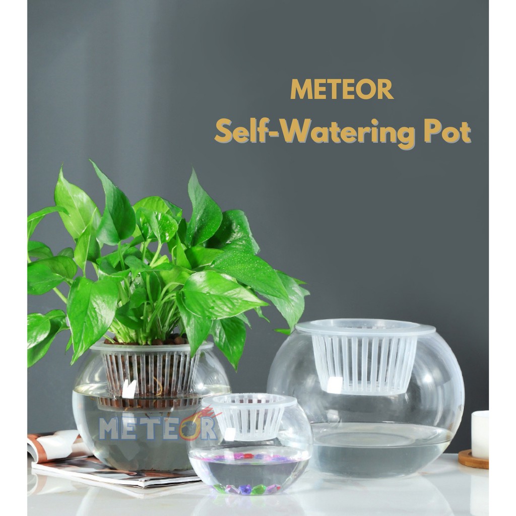 Self-Watering Pot/ Transparent Plastic Pot (No string as shown in the ...