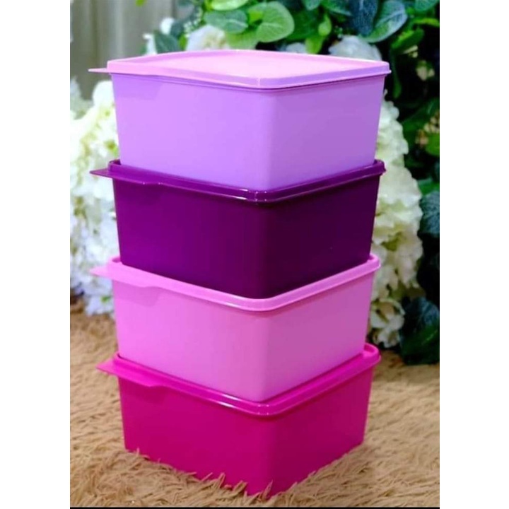 Ready Stock Ori Tupperware Snack N Stack Cozy Nest L N L