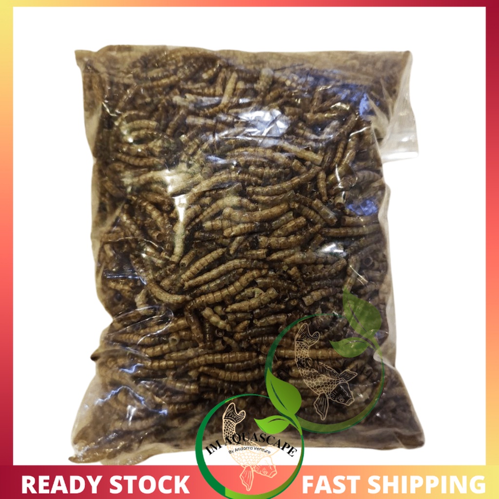 Mealworm Freeze Dried Fish Food Mealworm Kering Makanan Ikan Arowana Hamster Reptiles Shopee