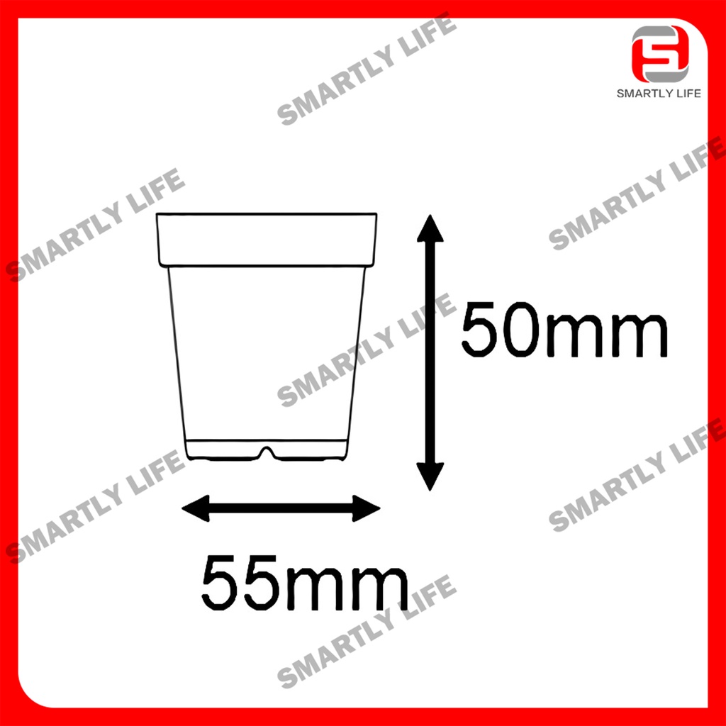 Baba 55 Seedling Pot (1 Set 12pcs) Pasu Benih Tanaman Gardening Cactus ...