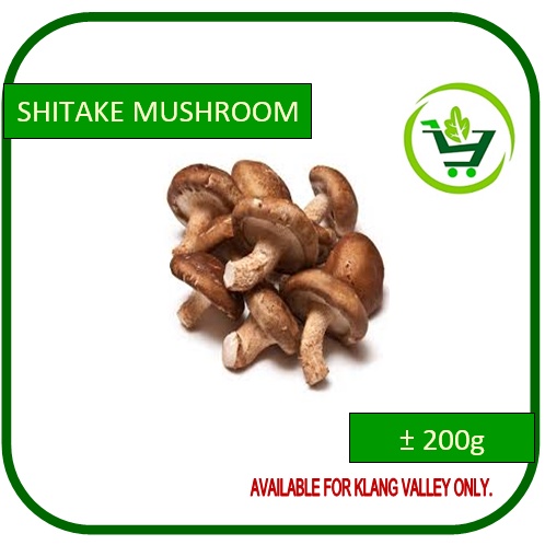 Shitake Mushroom / Cendawan Shitake 200g +