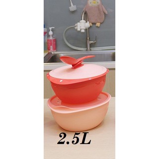 Ready Stock!! Tupperware Insulated Server Coral