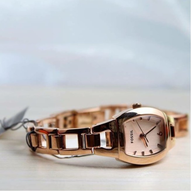 Fossil bq1069 store