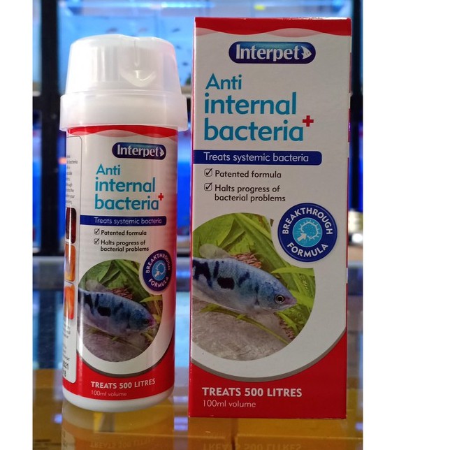 Interpet Anti Internal Bacteria Fish Treatment 100ml | Shopee Malaysia