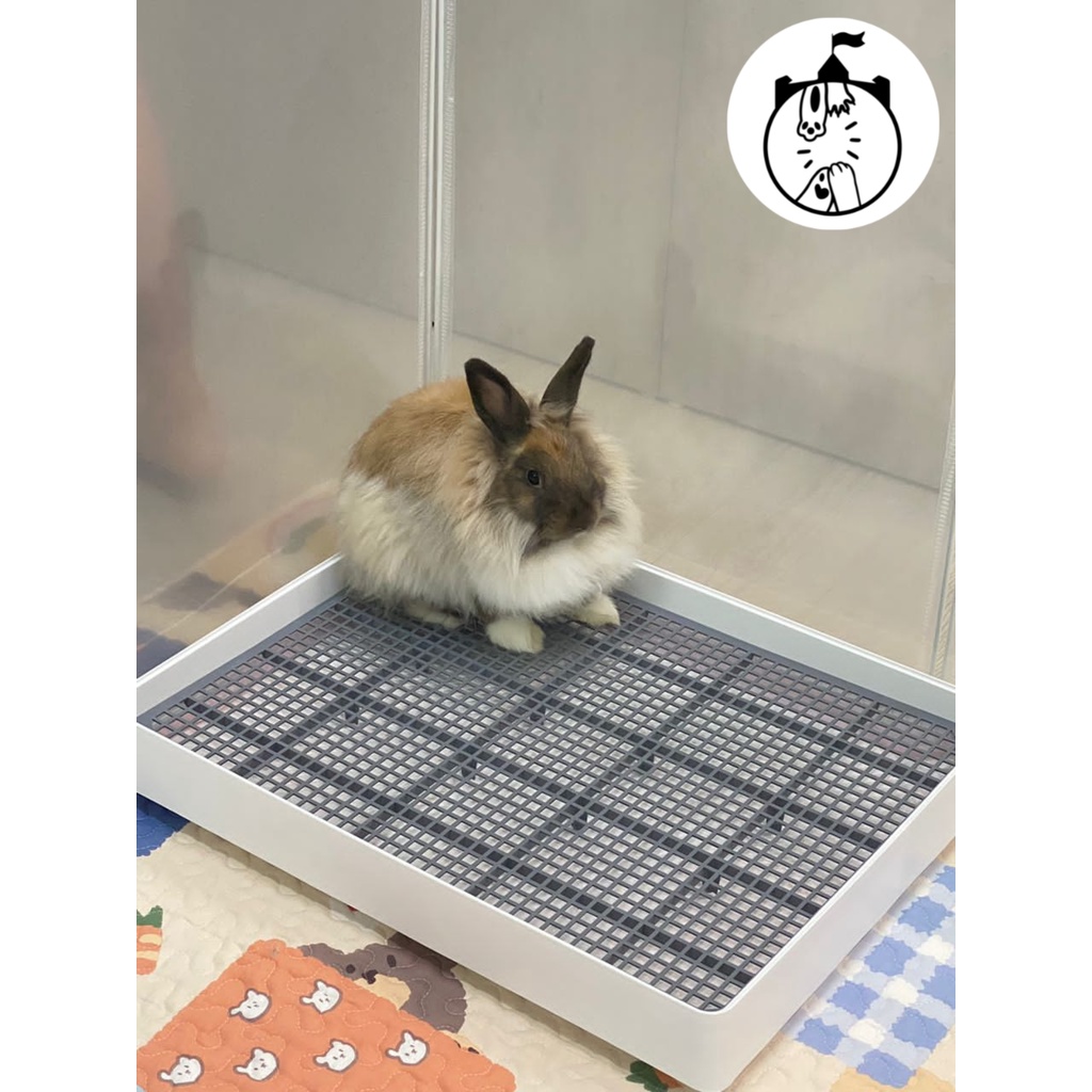Large Pet Toilet/Potty Training Tray Cat Dog Rabbit Chinchilla Guinea ...