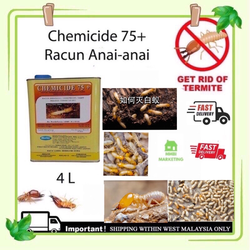 4L HEXTAR CHEMICIDE 75 + 4L TERMIGUARD TERMITE PEST CONTROL UBAT RACUN