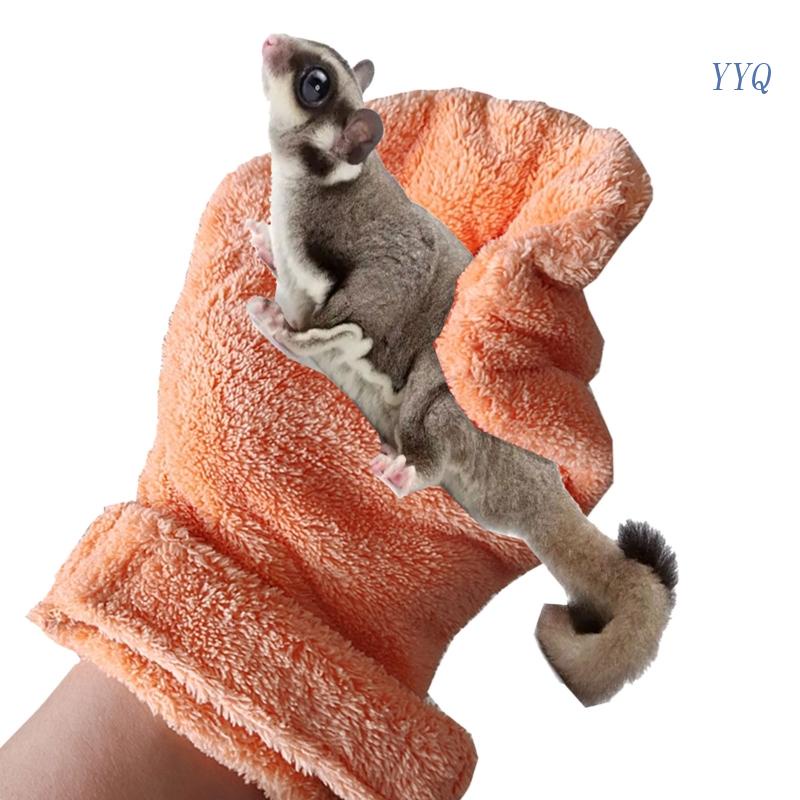 YYQ Sugar Glider Bonding Mitt Small Animal Handling Glove Rat