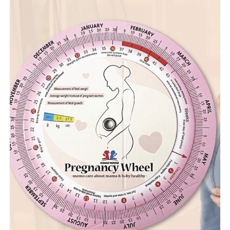 Buy pregnant calculator Online With Best Price, Jun 2026 | Shopee Malaysia